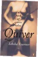9QUIV-Quiver-a-book-of-ertic-tales